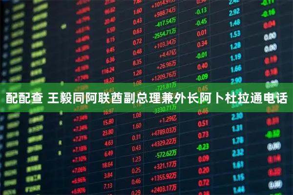 配配查 王毅同阿联酋副总理兼外长阿卜杜拉通电话