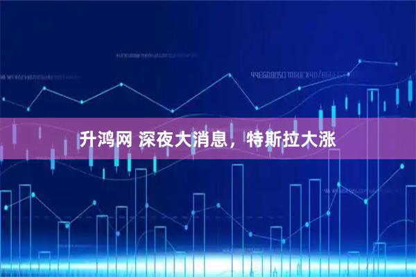 升鸿网 深夜大消息，特斯拉大涨