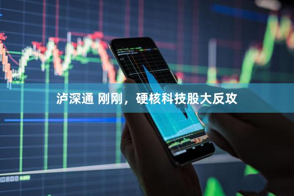 泸深通 刚刚,硬核科技股大反攻